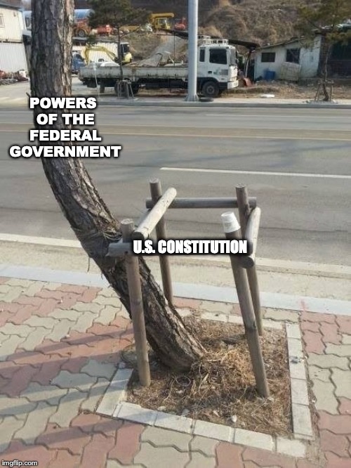 Going Its Own Way | POWERS OF THE FEDERAL GOVERNMENT; U.S. CONSTITUTION | image tagged in big government,powers,the constitution,abuse | made w/ Imgflip meme maker