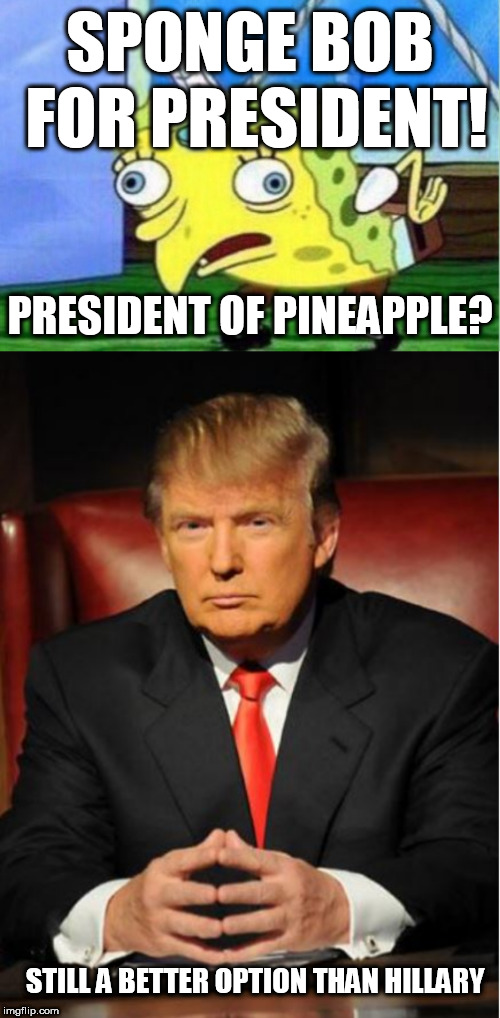Anyone, even spongebob ( better choice than hillary)    | SPONGE BOB FOR PRESIDENT! PRESIDENT OF PINEAPPLE? STILL A BETTER OPTION THAN HILLARY | image tagged in memes,mocking spongebob,better,than,hillary,not my president | made w/ Imgflip meme maker