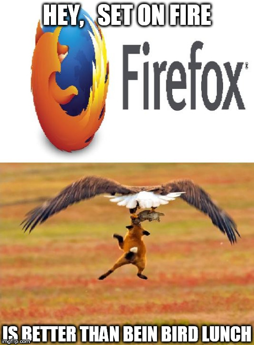 Bird lunch =  Fox with a  side of Mouse | HEY,   SET ON FIRE; IS BETTER THAN BEIN BIRD LUNCH | image tagged in oy blows,when you become,lunch,sucks,appetizer,side | made w/ Imgflip meme maker