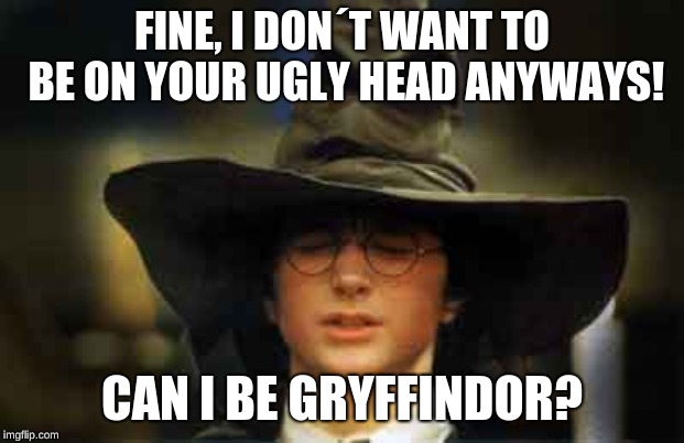 Harry Potter sorting hat | FINE, I DON´T WANT TO BE ON YOUR UGLY HEAD ANYWAYS! CAN I BE GRYFFINDOR? | image tagged in harry potter sorting hat | made w/ Imgflip meme maker