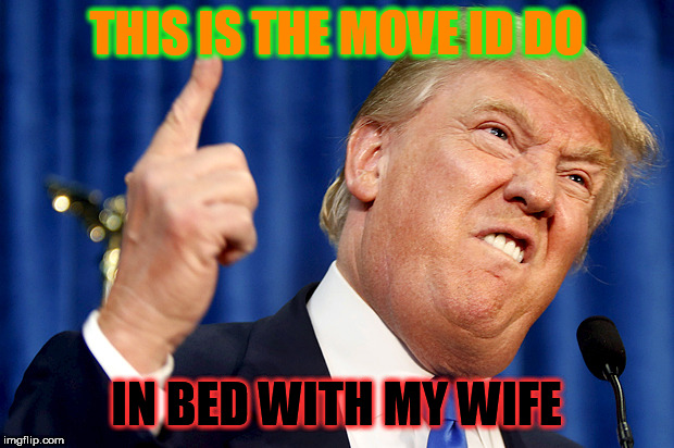 Donald Trump | THIS IS THE MOVE ID DO; IN BED WITH MY WIFE | image tagged in donald trump | made w/ Imgflip meme maker
