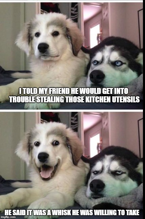 bad joke dogs | I TOLD MY FRIEND HE WOULD GET INTO TROUBLE
STEALING THOSE KITCHEN UTENSILS; HE SAID IT WAS A WHISK HE WAS WILLING TO TAKE | image tagged in bad joke dogs | made w/ Imgflip meme maker