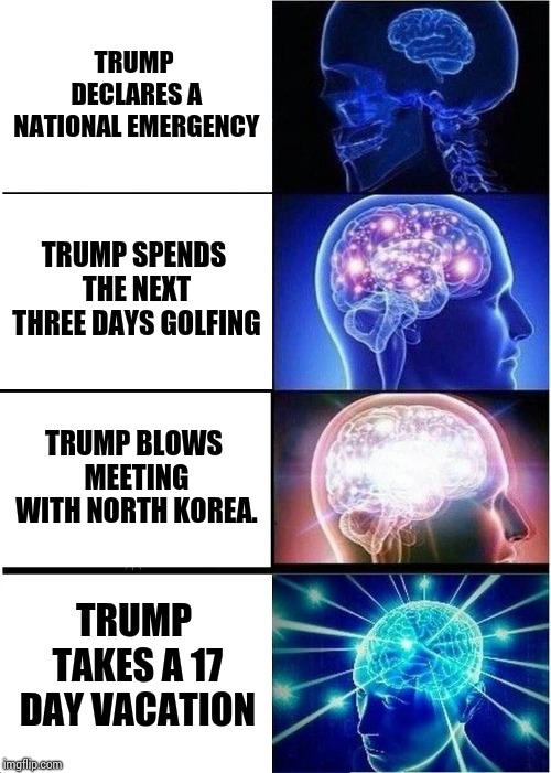 It Takes Longer For Him To Do His Hair Than It Takes For Him To Declare A Fake National Emergency | TRUMP DECLARES A NATIONAL EMERGENCY; TRUMP SPENDS THE NEXT THREE DAYS GOLFING; TRUMP BLOWS MEETING WITH NORTH KOREA. TRUMP TAKES A 17 DAY VACATION | image tagged in memes,expanding brain,trump unfit unqualified dangerous,lock him up,liar in chief,donald trump the clown | made w/ Imgflip meme maker