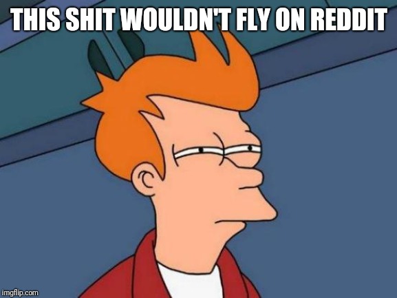 Futurama Fry Meme | THIS SHIT WOULDN'T FLY ON REDDIT | image tagged in memes,futurama fry | made w/ Imgflip meme maker