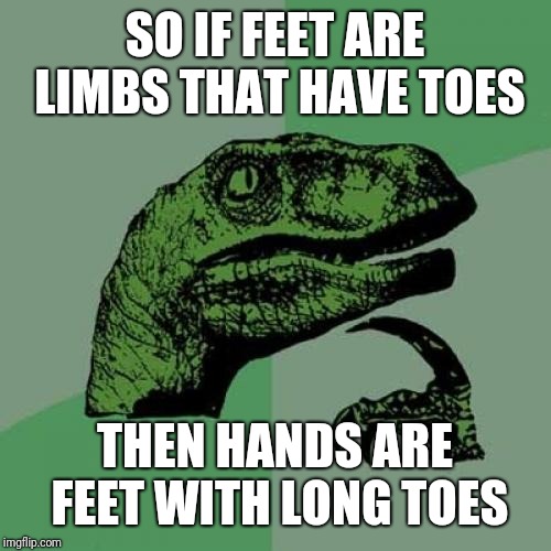 Philosoraptor Meme | SO IF FEET ARE LIMBS THAT HAVE TOES; THEN HANDS ARE FEET WITH LONG TOES | image tagged in memes,philosoraptor | made w/ Imgflip meme maker