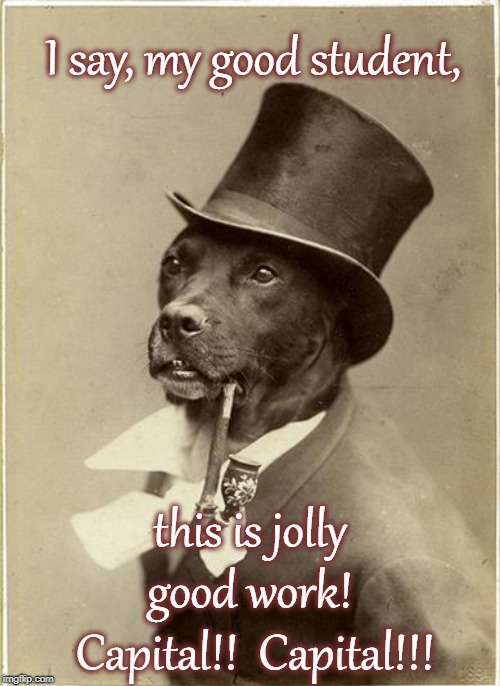 Old Money Dog | I say, my good student, this is jolly good work!  Capital!!  Capital!!! | image tagged in old money dog | made w/ Imgflip meme maker