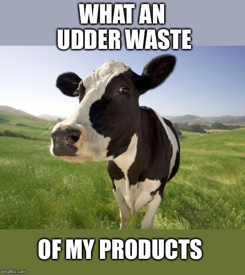 cow | WHAT AN UDDER WASTE OF MY PRODUCTS | image tagged in cow | made w/ Imgflip meme maker