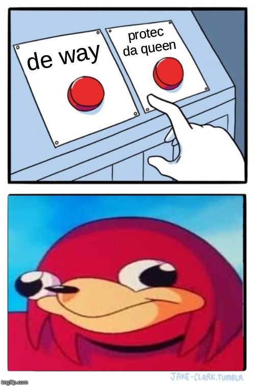 Two Buttons | protec da queen; de way | image tagged in memes,two buttons | made w/ Imgflip meme maker