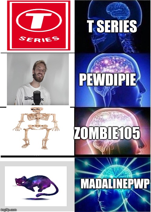 Expanding Brain | T SERIES; PEWDIPIE; ZOMBIE105; MADALINEPWP | image tagged in memes,expanding brain | made w/ Imgflip meme maker