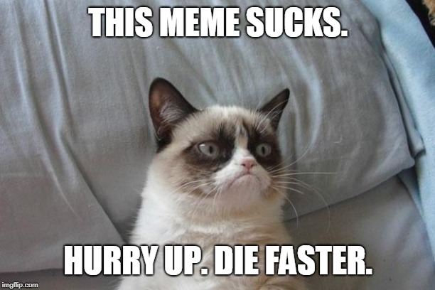 THIS MEME SUCKS. HURRY UP. DIE FASTER. | made w/ Imgflip meme maker