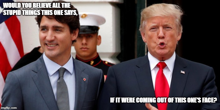 pretty faces mask lies | WOULD YOU BELIEVE ALL THE STUPID THINGS THIS ONE SAYS, IF IT WERE COMING OUT OF THIS ONE'S FACE? | image tagged in trump,trudeau,idiots,stupid,politics | made w/ Imgflip meme maker