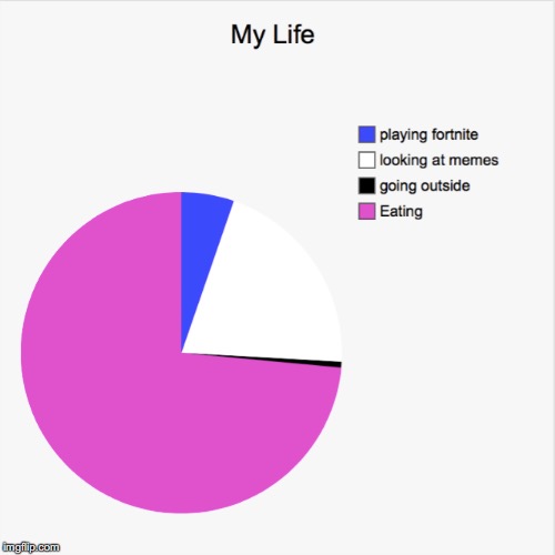 image tagged in pie charts,fortnite,outside,food,my life | made w/ Imgflip meme maker