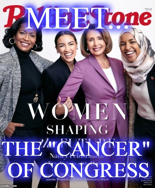 Cancer of Congress | MEET... THE "CANCER" OF CONGRESS | image tagged in democrats,nancy pelosi,political humor,funny memes | made w/ Imgflip meme maker