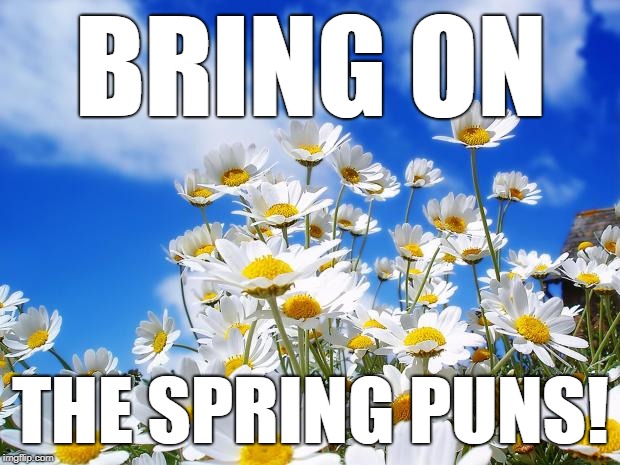 spring daisy flowers | BRING ON THE SPRING PUNS! | image tagged in spring daisy flowers | made w/ Imgflip meme maker