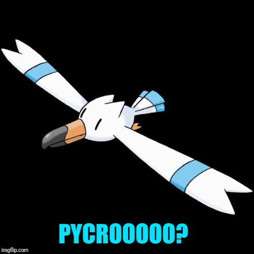 PYCROOOOO? | image tagged in hydro the wingull | made w/ Imgflip meme maker