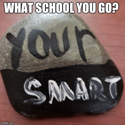 Wikid smaahht  | WHAT SCHOOL YOU GO? | image tagged in you smaahht,spelling error | made w/ Imgflip meme maker