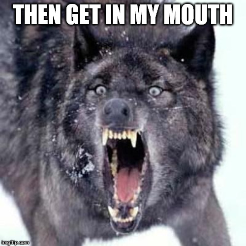 Angry Wolf | THEN GET IN MY MOUTH | image tagged in angry wolf | made w/ Imgflip meme maker