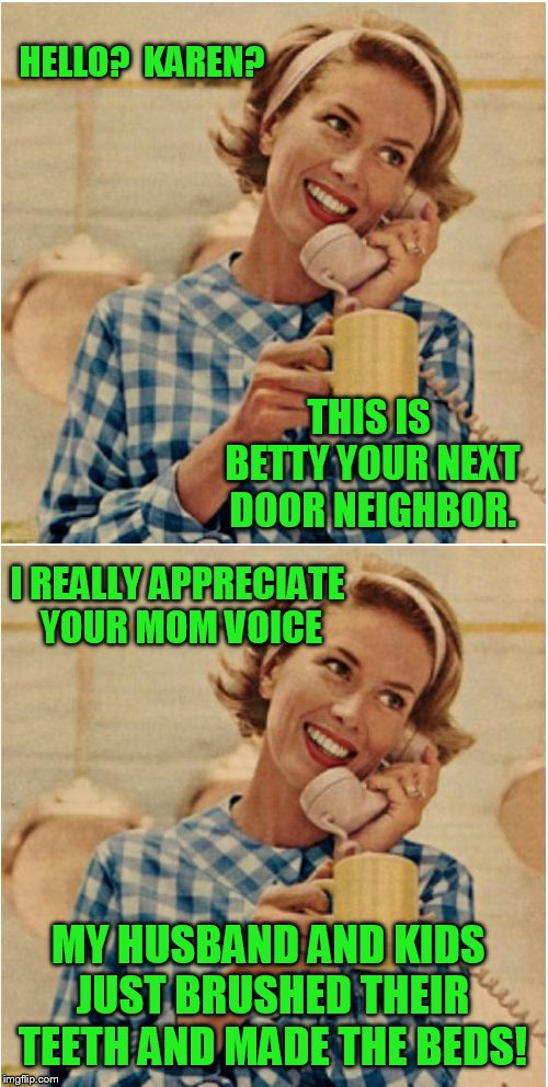 HELLO?  KAREN? THIS IS BETTY YOUR NEXT DOOR NEIGHBOR. I REALLY APPRECIATE YOUR MOM VOICE; MY HUSBAND AND KIDS JUST BRUSHED THEIR TEETH AND MADE THE BEDS! | image tagged in innocent mom | made w/ Imgflip meme maker