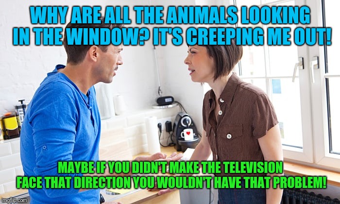 couple arguing | WHY ARE ALL THE ANIMALS LOOKING IN THE WINDOW? IT'S CREEPING ME OUT! MAYBE IF YOU DIDN'T MAKE THE TELEVISION FACE THAT DIRECTION YOU WOULDN' | image tagged in couple arguing | made w/ Imgflip meme maker
