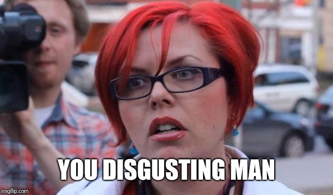 Angry Feminist | YOU DISGUSTING MAN | image tagged in angry feminist | made w/ Imgflip meme maker
