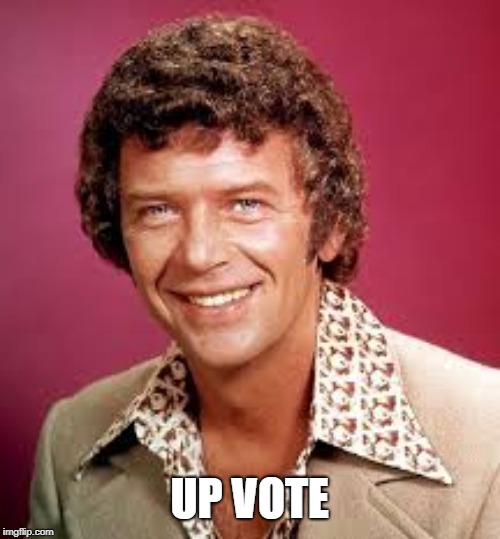 Mike Brady | UP VOTE | image tagged in mike brady | made w/ Imgflip meme maker