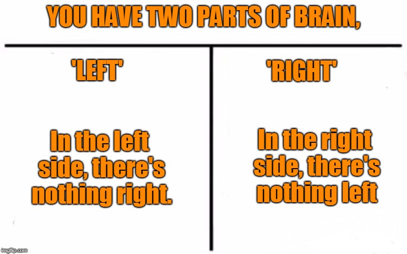 Part of the Brain | YOU HAVE TWO PARTS OF BRAIN, 'LEFT'; 'RIGHT'; In the left side, there's nothing right. In the right side, there's nothing left | image tagged in funny | made w/ Imgflip meme maker