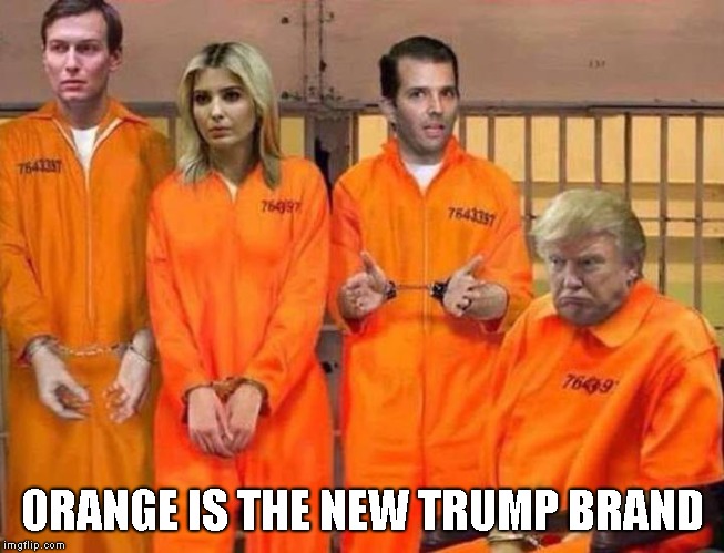 President Trump's Next Term is in Prison | ORANGE IS THE NEW TRUMP BRAND | image tagged in trump impeachment,impeach trump,lock him up | made w/ Imgflip meme maker