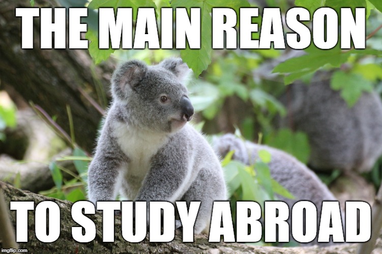 THE MAIN REASON; TO STUDY ABROAD | image tagged in education | made w/ Imgflip meme maker