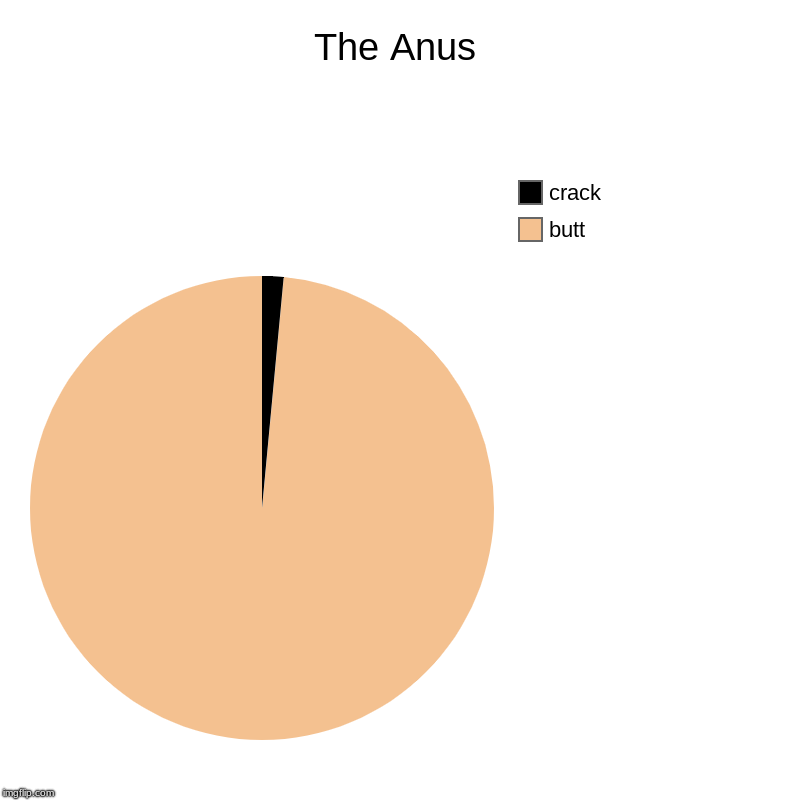 The Anus | butt, crack | image tagged in charts,pie charts | made w/ Imgflip chart maker