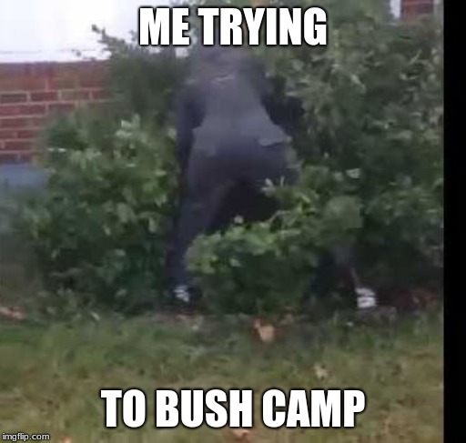 fortnit bush | ME TRYING; TO BUSH CAMP | image tagged in fortnit bush | made w/ Imgflip meme maker