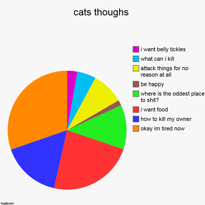 cats thoughs | okay im tired now, how to kill my owner, i want food, where is the oddest place to shit?, be happy, attack things for no reas | image tagged in charts,pie charts | made w/ Imgflip chart maker