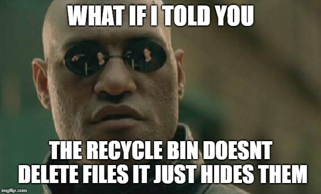 Matrix Morpheus Meme | WHAT IF I TOLD YOU; THE RECYCLE BIN DOESNT DELETE FILES IT JUST HIDES THEM | image tagged in memes,matrix morpheus | made w/ Imgflip meme maker