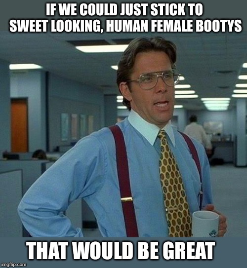 That Would Be Great Meme | IF WE COULD JUST STICK TO SWEET LOOKING, HUMAN FEMALE BOOTYS THAT WOULD BE GREAT | image tagged in memes,that would be great | made w/ Imgflip meme maker
