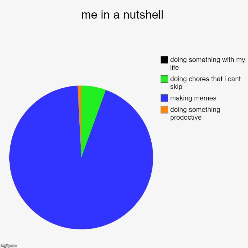 me in a nut shell | me in a nutshell | doing something prodoctive, making memes, doing chores that i cant skip, doing something with my life | image tagged in charts,pie charts,inside joke,in a nutshell | made w/ Imgflip chart maker