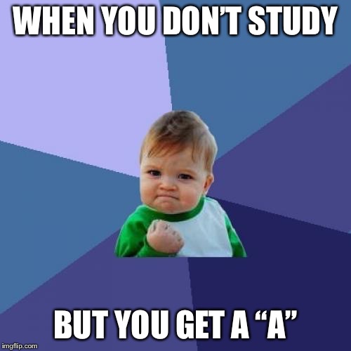 Success Kid Meme | WHEN YOU DON’T STUDY; BUT YOU GET A “A” | image tagged in memes,success kid | made w/ Imgflip meme maker