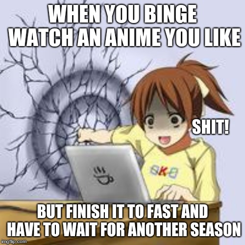 Anime wall punch | WHEN YOU BINGE WATCH AN ANIME YOU LIKE; SHIT! BUT FINISH IT TO FAST AND HAVE TO WAIT FOR ANOTHER SEASON | image tagged in anime wall punch | made w/ Imgflip meme maker