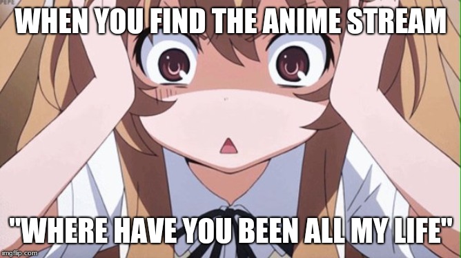 anime realization | WHEN YOU FIND THE ANIME STREAM; "WHERE HAVE YOU BEEN ALL MY LIFE" | image tagged in anime realization | made w/ Imgflip meme maker