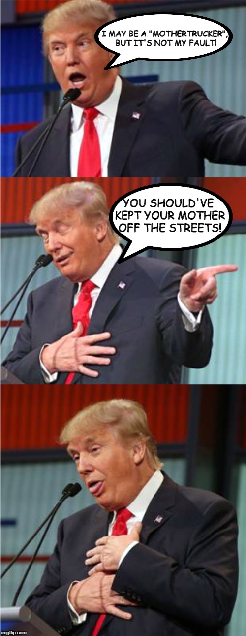 It's an oldie, but a goodie! | I MAY BE A "MOTHERTRUCKER", BUT IT'S NOT MY FAULT! YOU SHOULD'VE KEPT YOUR MOTHER OFF THE STREETS! | image tagged in bad pun trump,funny,funny memes,politics,political meme | made w/ Imgflip meme maker