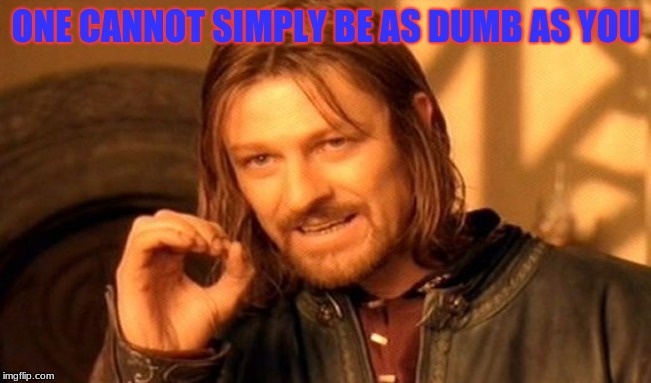 One Does Not Simply Meme | ONE CANNOT SIMPLY BE AS DUMB AS YOU | image tagged in memes,one does not simply | made w/ Imgflip meme maker