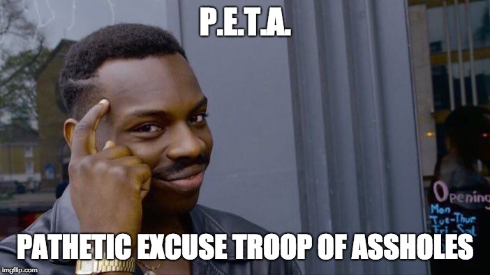 PETA GRIFFIN | P.E.T.A. PATHETIC EXCUSE TROOP OF ASSHOLES | image tagged in memes,roll safe think about it | made w/ Imgflip meme maker