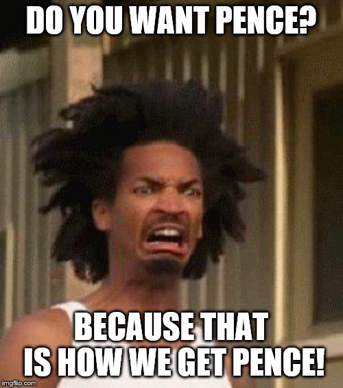 Disgusted Face | DO YOU WANT PENCE? BECAUSE THAT IS HOW WE GET PENCE! | image tagged in disgusted face | made w/ Imgflip meme maker
