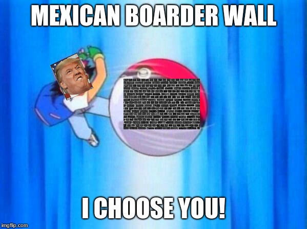 I choose you! | MEXICAN BOARDER WALL; I CHOOSE YOU! | image tagged in i choose you,donald trump,trump wall,memes,funny memes,funny | made w/ Imgflip meme maker