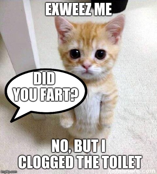 Cute Cat | EXWEEZ ME; DID YOU FART? NO, BUT I CLOGGED THE TOILET | image tagged in memes,cute cat | made w/ Imgflip meme maker