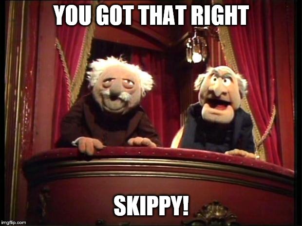 Statler and Waldorf | YOU GOT THAT RIGHT SKIPPY! | image tagged in statler and waldorf | made w/ Imgflip meme maker