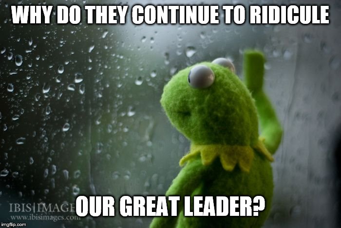 kermit window | WHY DO THEY CONTINUE TO RIDICULE OUR GREAT LEADER? | image tagged in kermit window | made w/ Imgflip meme maker