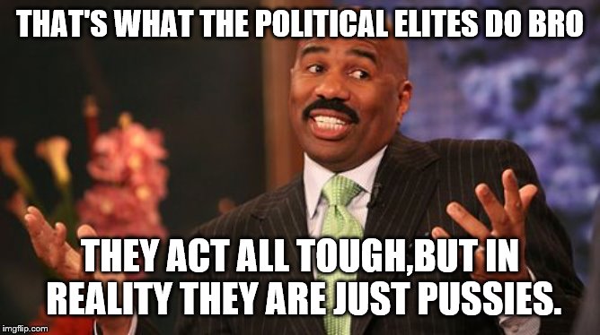 Steve Harvey Meme | THAT'S WHAT THE POLITICAL ELITES DO BRO THEY ACT ALL TOUGH,BUT IN REALITY THEY ARE JUST PUSSIES. | image tagged in memes,steve harvey | made w/ Imgflip meme maker