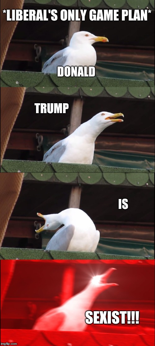 Inhaling Seagull Meme | *LIBERAL'S ONLY GAME PLAN*; DONALD; TRUMP; IS; SEXIST!!! | image tagged in memes,inhaling seagull | made w/ Imgflip meme maker