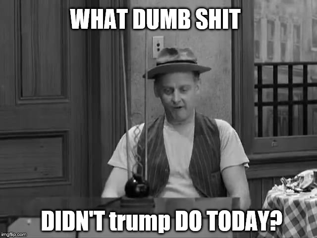 The Honeymooners Ed Norton Asks A Question About trump! | WHAT DUMB SHIT; DIDN'T trump DO TODAY? | image tagged in the honeymooners,ed norton,donald trump is an idiot,trump is a moron,trump is an asshole,trump unfit unqualified dangerous | made w/ Imgflip meme maker