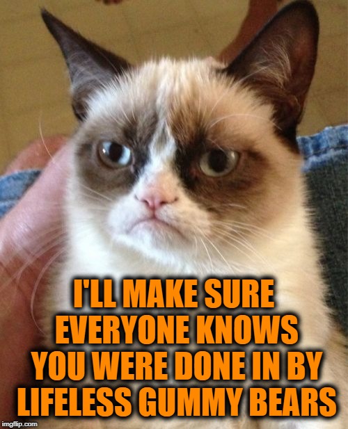 Grumpy Cat Meme | I'LL MAKE SURE EVERYONE KNOWS YOU WERE DONE IN BY LIFELESS GUMMY BEARS | image tagged in memes,grumpy cat | made w/ Imgflip meme maker