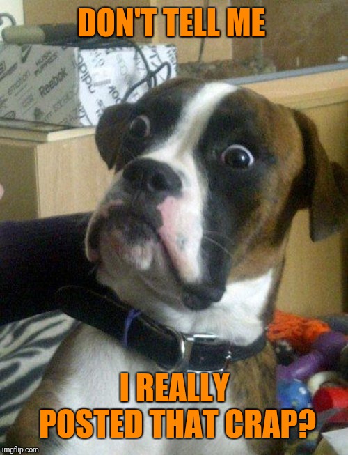 shocked doggy | DON'T TELL ME I REALLY POSTED THAT CRAP? | image tagged in shocked doggy | made w/ Imgflip meme maker